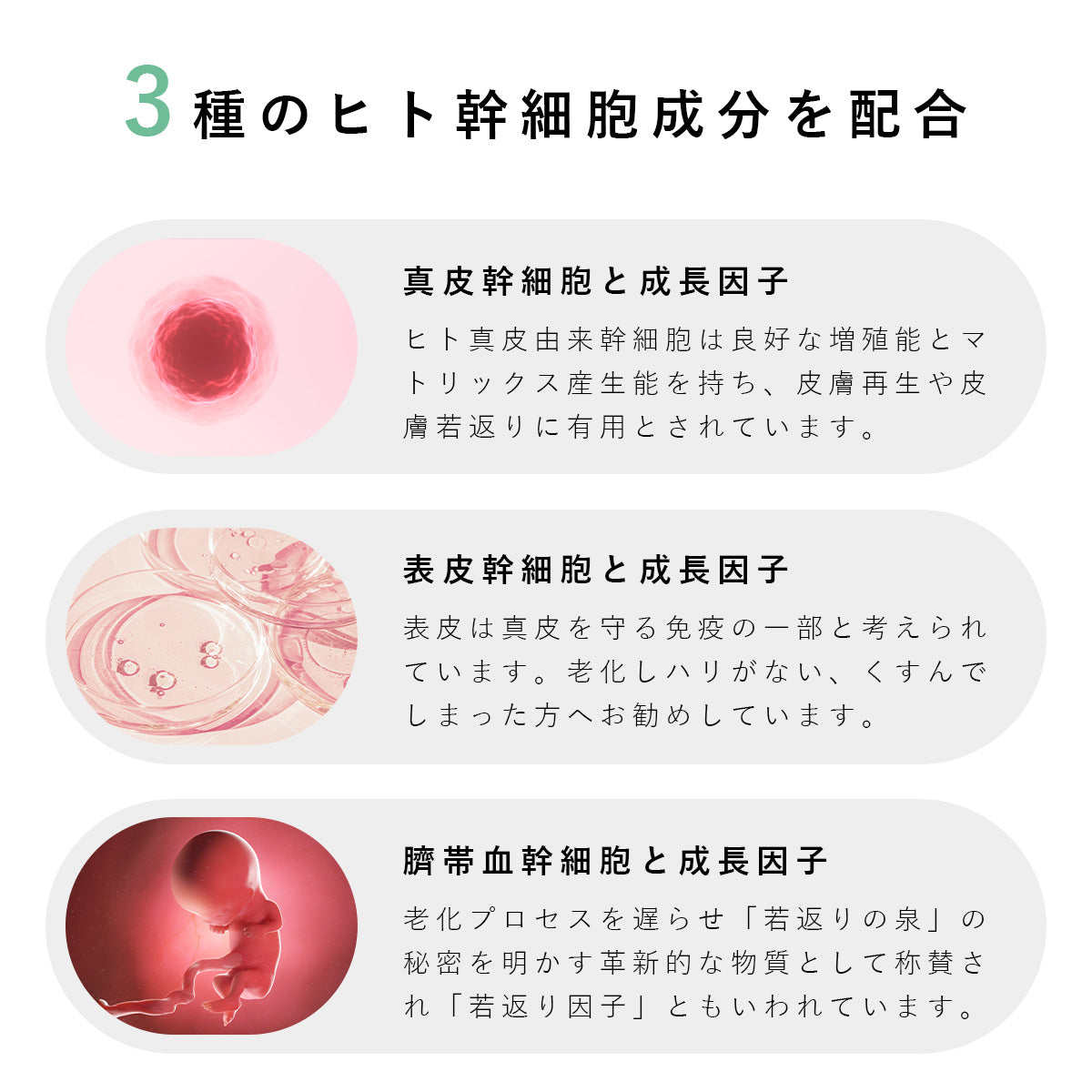 ALL IN ONE GEL|ヒト幹細胞上清液オールインワンゲル【SECRET RECIPE】