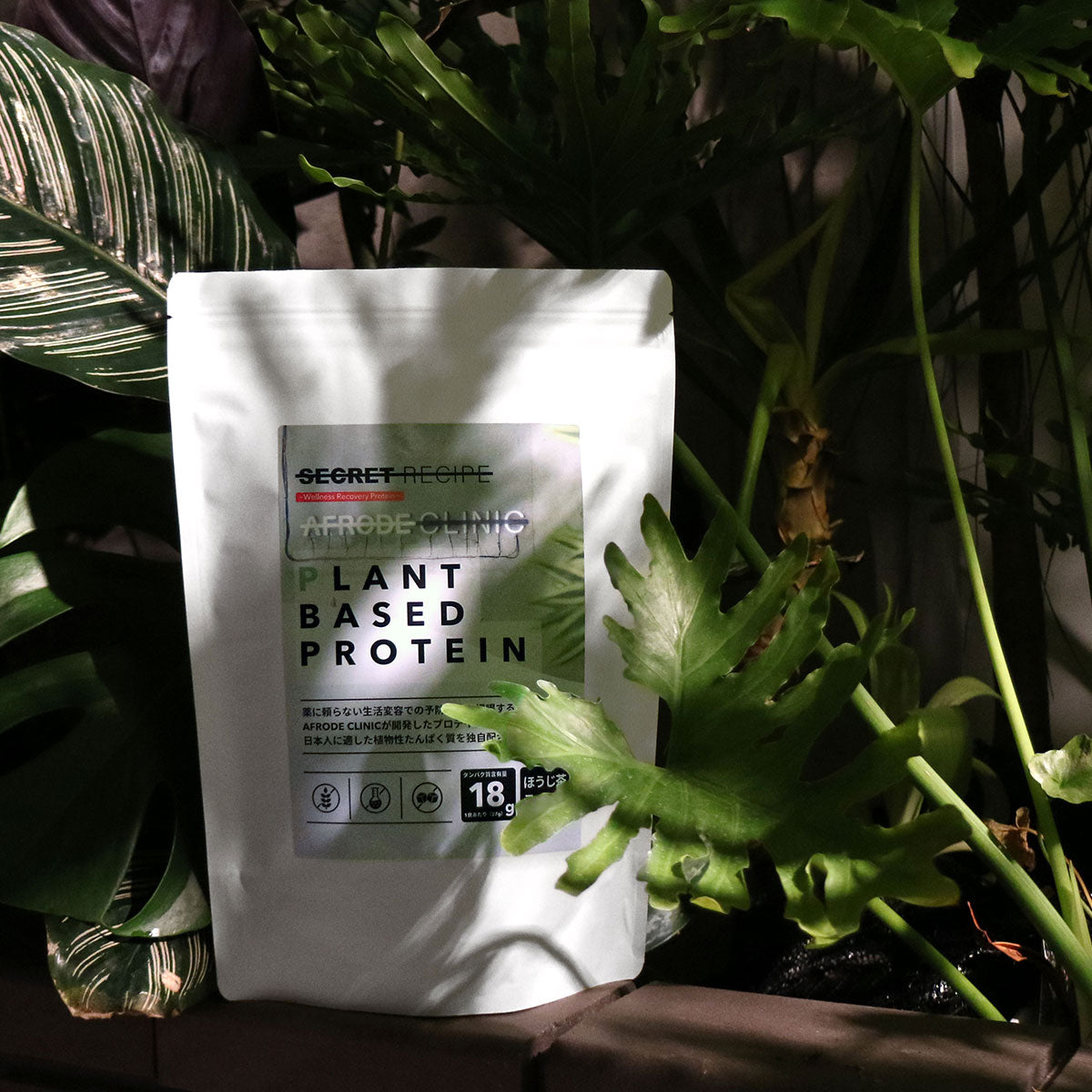 植物性プロテイン「PLANT BASED PROTEIN」 - 体にやさしい栄養補給