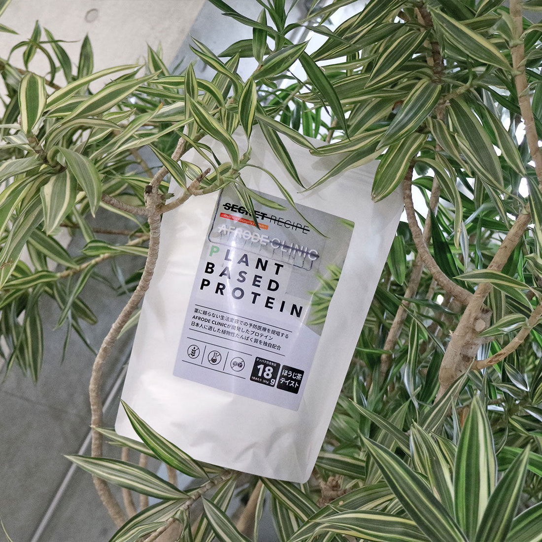 植物性プロテインとは？SECRET RECIPEのプラントベースドプロテイン【ほうじ茶テイスト】の成分・効果・飲み方を徹底解説