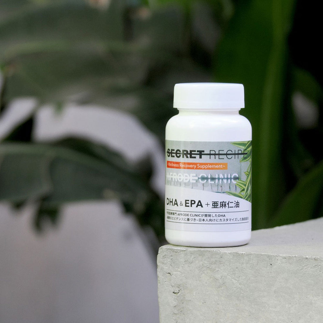 血管から老けるという事実｜DHA・EPAという長期戦略