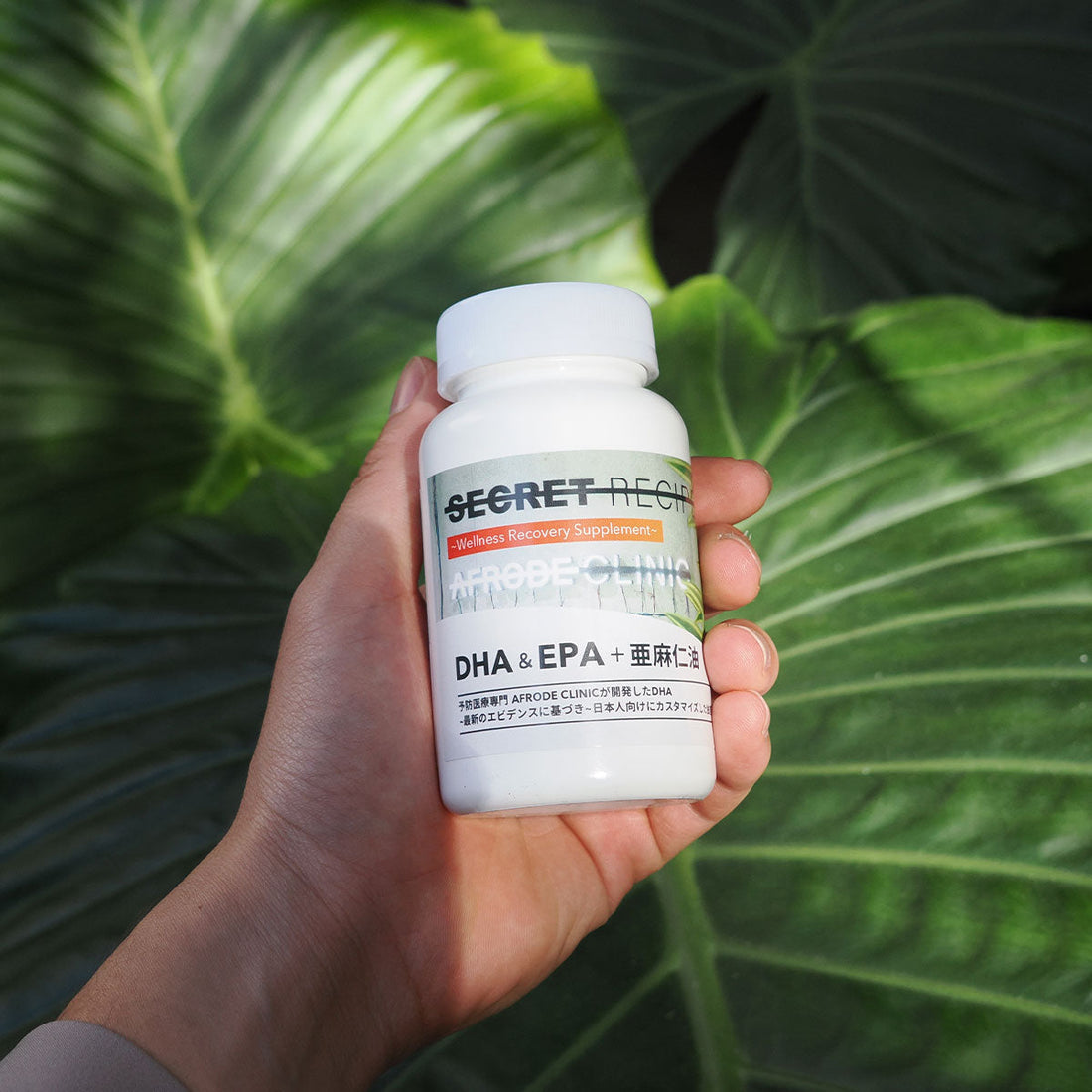 DHA・EPAとは何か？魚を食べない人ほど知っておきたいオメガ3の基本と、亜麻仁油を不思議な理由