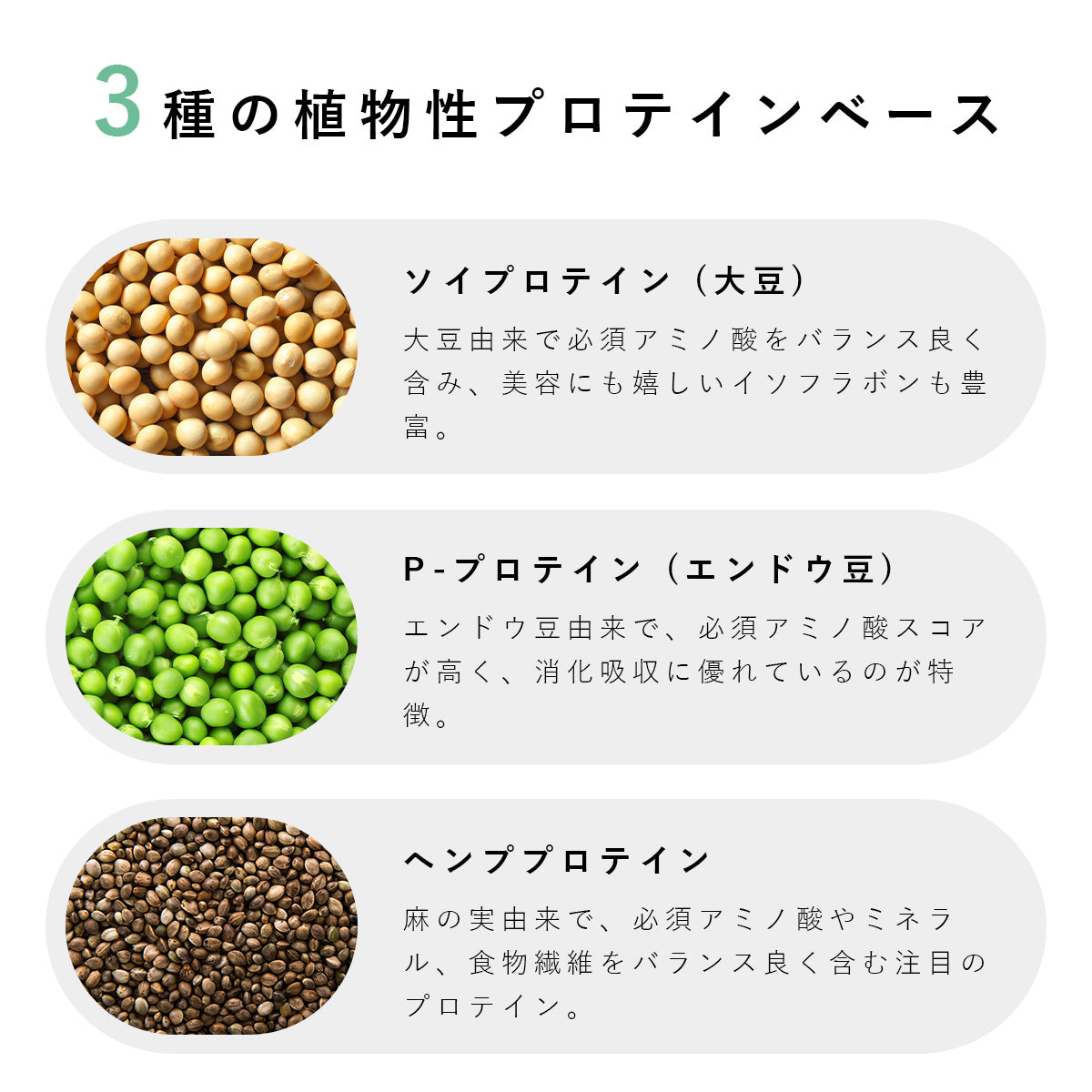 植物性プロテイン「PLANT BASED PROTEIN」 - 体にやさしい栄養補給